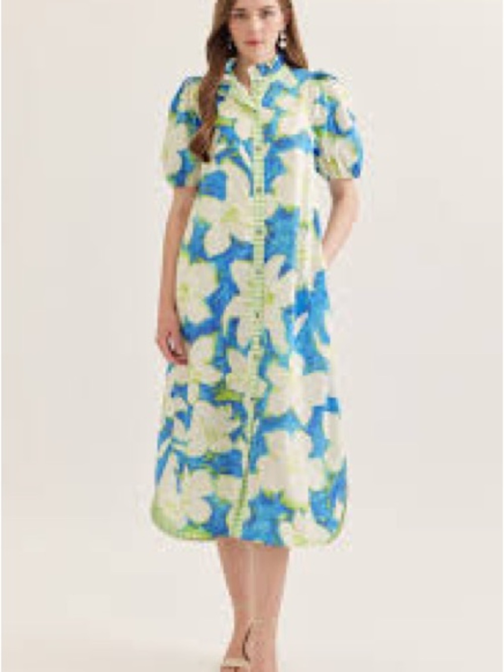 entro Blue, White & Green Floral Button-Front Midi Dress